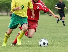 好博体育,产品,好博体育官方,好博体育官方,好博体育在线官网,好博体育线上,好博体育APP