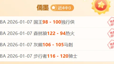 印尼荣耀：赖因德斯的自豪征程